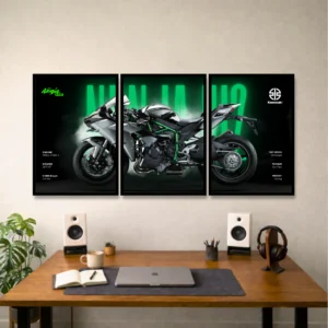 Kawasaki Ninja H2 – Green Fury